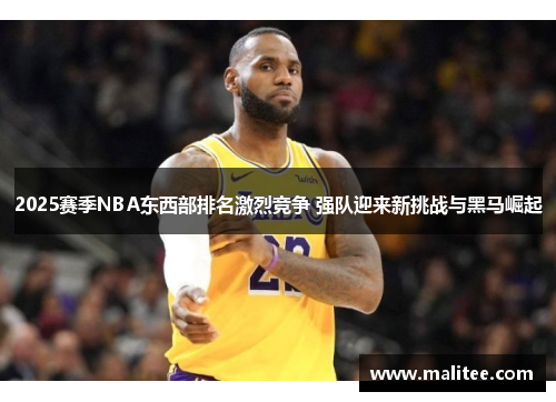 2025赛季NBA东西部排名激烈竞争 强队迎来新挑战与黑马崛起